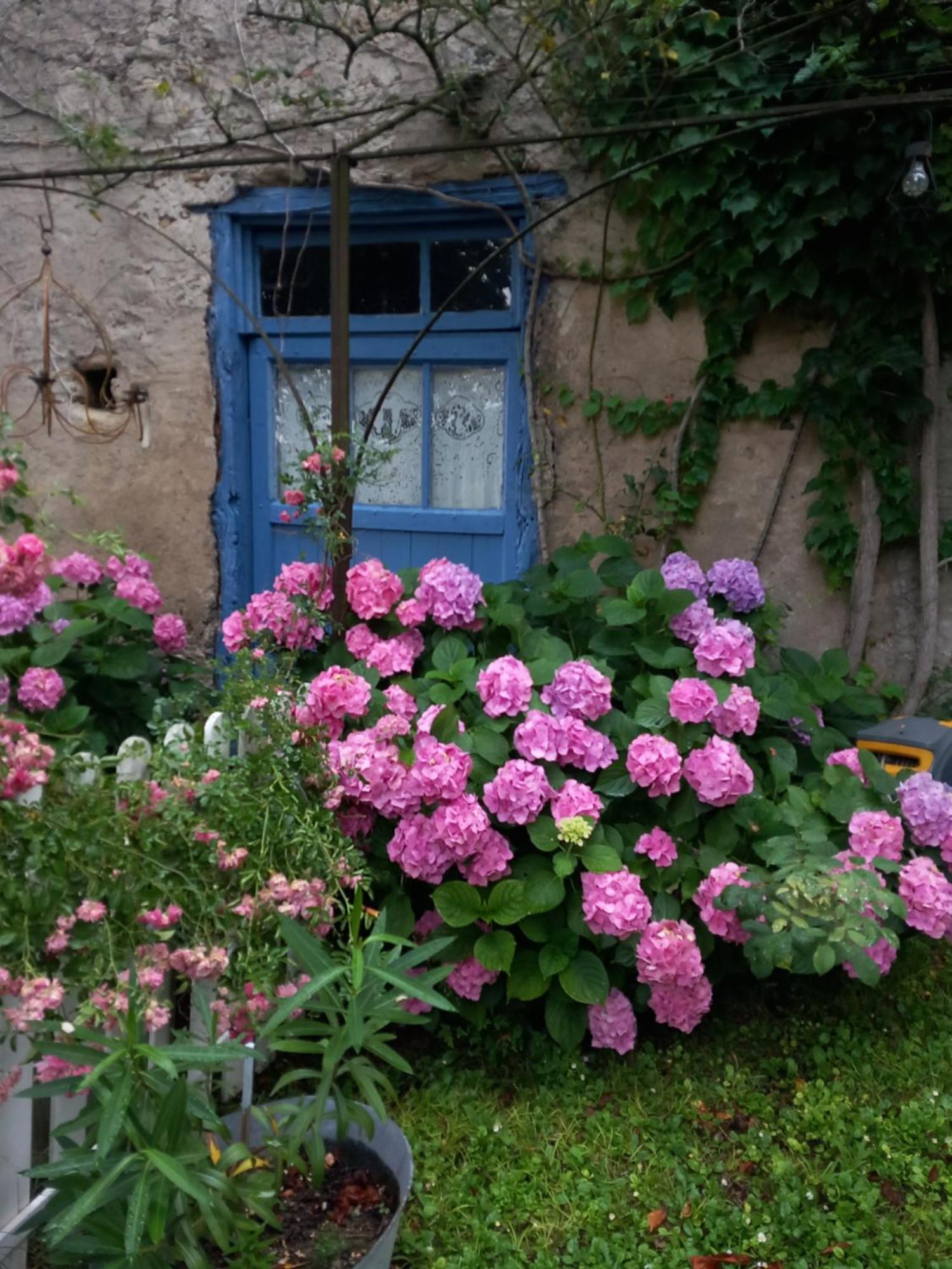 La Maison D'Anna Chambres D Hotes Ganac 外观 照片